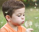 繊細な心をもったあなたのお話お聴きします その気持ち、わかります/私もあなたの仲間/語りましょう イメージ3