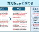 英語レポート・英作文を自然で正確な英文に添削します 帰国子女の現役医学生が自然な英文＋論理的な構成に仕上げます イメージ4