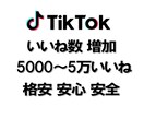 TikTokのいいねを5000増加させます 安心安全の拡散、宣伝！振り分け無料！ イメージ8