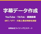 動画の字幕データを作成します SRT・VTT対応。行長と表示時間を整えて納品 イメージ1