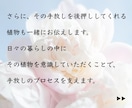 手放すものを占い【その先のあなた】を絵にします アートで視る✨手放した先の光✨植物と共に イメージ7