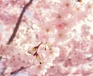 引き寄せの法則に関するご質問にお答えします 潜在意識や引き寄せの法則に関するご質問にお答えします イメージ1