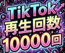 TikTok再生回数10000回増やします ⭐️高品質で減りにくい⭐️再生数が増えるよう拡散します！ イメージ1