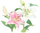 商用◎手描き水彩で心惹かれる花のイラストを描きます カラーラフ修正無制限、ヒアリングが得意です。構図から提案も可 イメージ9