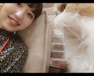 なんでもメール屋さんであります ライトなテーマから深刻なテーマまでなんでも受け付けます イメージ1