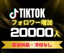 TikTokフォロワー20000人増やします 実績多数⭐️フォロワー ティックトック 高品質保証✨ イメージ1