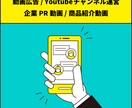 企業様向け！動画制作に関するご相談を承っております 動画が波に乗ってるが、何から始めればいいかわからない方 イメージ5