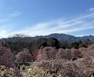 今の保険見直しのご相談お聞きします 今の生命保険あなたに合っていますか？ イメージ3