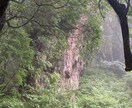 旅行計画が面倒な方へ！代わりに旅行計画立てます 色んなサイトを検討して1番安いプランを提供します！ イメージ1