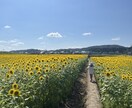 日常の写真を最新iPhoneで販売します 子供風景日常をテーマに撮影します イメージ4