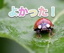 お試し1日@パニック障害の方のお出かけを支援します 怖いお出かけ時、トークルームでお話する事であなたを見守ります イメージ4