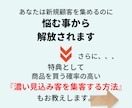 お手頃価格で自動集客できるLPをライティングします 現役講師が優良な見込み客だけを集めるLP作成します イメージ8