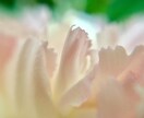 あなたのお悩みを聞きます 心明るく、気持ちよく過ごしたいと願うあなたへ イメージ2