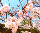 人には言いにくいあなたの自慢話とことん聞きます 自慢したいけど最適な知り合いがいない…そんな時ありますよね イメージ10