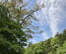 霊感⭐️ルノルマン『恋愛鑑定』お相手の本音占います 今後の新展開❤︎恋愛・不倫・復縁など♦︎恋の行方♪ イメージ8