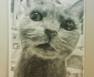 お子さまやペット等、記念に残したい鉛筆画を描きます 趣味で鉛筆画を描いています(*^^*)時間がかかる作品です イメージ2