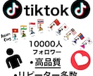 tiktokのアジア系のフォロワーを増やします 格安❗️高品質❗️30日保証❗️ イメージ1