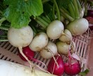 健康美肌スムージー紹介します 冷え症や疲れやすい体質で気になるあなたへ イメージ1