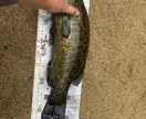 一庫ダムのポイント教えます スモールマウスバスが釣れるポイント教えます！ イメージ3