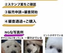 可愛いペットをLINEメッセージスタンプにします 可愛いペット写真を個性的なLINEメッセージスタンプにします イメージ3