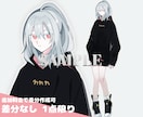 15日まで期間限定販売￤完成品立ち絵の引渡しします TRPGなど、代理キャラクターに扱いやすいシンプル立ち絵です イメージ1