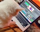 YouTuberのような動画編集します お直し2回まで！メッセージでサンプル映像送ります！ イメージ1