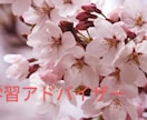 普段の授業での質問について10問お答えいたします 学習補助を基本行っていきます！ イメージ1