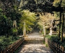 どんな悩みに対しても最善の未来へ進む答えを授けます 【原因は一つではない】全ての流れを解明し好転の道を示します イメージ5