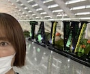 一人旅デビューしたい方！ご相談に乗ります 一歩踏み出せば新しい世界が待っているかも！ イメージ1
