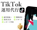 TikTok運用であなたのビジネスをサポートします まず【1社限定！】割引価格で提供いたします！ イメージ1