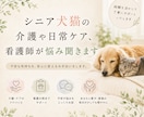シニア犬猫の介護や日常ケア、看護師が悩み聞きます 老犬老猫の毎日のケア、動物看護師と一緒に考えてみませんか？ イメージ1
