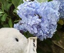 今すぐOK♥️アナタの嬉しい気持ちをシェアします 小さな幸せを今すぐ共有シマしょ♥️ イメージ5