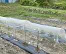 初回限定価格　体験談から移住の不安に答えします 移住に興味ある方へ、体験談を交え疑問や不安を丁寧にサポート イメージ3