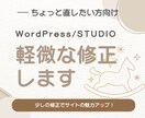 理系目線で既存webサイトの軽微な修正します ちょっとだけ直したい方へ、少しの修正でサイトの魅力アップ! イメージ1
