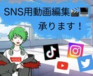 SNS投稿用の動画編集を承ります あなたのSNS動画投稿をもっと豊かにします！ イメージ1
