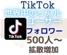 TikTokのリアルなフォロワーを増やします 全世界のリアルユーザーへアプローチ！フォロワー500人～増加 イメージ1