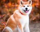 我が家のワンコメモ 病気や危険な物教えます 愛犬のための病気や身の回りにある危険な物など情報満載です。 イメージ4