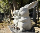 トークで相談！心を込めた深夜のタロット鑑定します 【夜間/土日OK】優しく寄り添います。お悩みの大小問いません イメージ1
