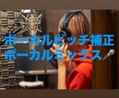 歌のピッチ補正を承ります 歌のピッチ補正3千円で5トラックまで追加料金無し！ イメージ1