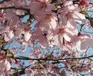 わたしでも誰かのお役に立てれたらと思います お話してると時間ってあっという間に過ぎてて不思議ですよね？ イメージ2