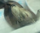 悩める恋愛の解決方法を若者の意見で一緒に考えます 若者のリアルな意見をお届け致します。 イメージ1