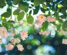 ママ友、ママ友の子供との付合いの悩みお聞きします 気を遣うママ友やその子供、面倒だけどやめられないですよね！ イメージ1