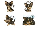あなたの愛犬をLINEスタンプにします 写真から日常で使えるオリジナルLINEスタンプを作成します イメージ1