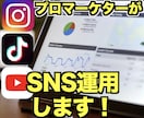 SNSのプロがあなたのSNSアカウントを運用します フォロワー55万人の運用チームがバズらせます！ イメージ1