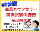 産業カウンセラー、実技試験の練習ができます 私が60分間クライエント役、振返りもさせて頂きます。 イメージ1