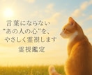 初回半額霊視鑑定⭐︎お相手のお気持ちみます 初回半額⭐︎心に寄り添った鑑定いたします⭐︎ イメージ1