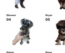 愛犬・猫のオリジナルTシャツをつくります 世界に一つだけのうちの子Tシャツ♪ イメージ3