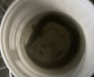 川釣を始める方に道具等の紹介をします 学生ならではの釣り方や、小さい所の攻め方まで イメージ2