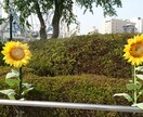 心の病気の辛さ聞きます 心の病気で苦しんでいる、誰かと話したい方へ イメージ1