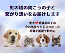 虹の橋の向こうの子と繋がり想いをお届けしますます 愛犬❤愛猫あの子の今の気持ちと伝えたかった言葉を霊視で鮮明に イメージ1